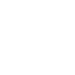 Play Button